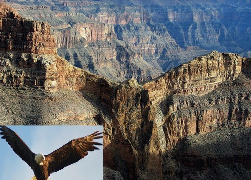 Một dãy núi trong Công viên quốc gia Grand Canyon, Arizona (Mỹ) có hình dáng hùng vĩ y hệt như một con đại bàng – biểu tượng của nước Mỹ.  Khối đá tự nhiên này tự khoác lên mình dung mạo sống động của một loài động vật.