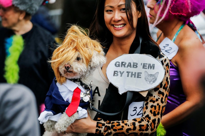 Mùa  lễ hội Halloween bây giờ không chỉ dành cho con người mà ngay cả đến những chú cún hay chú mèo cưng cũng được chủ sở hữu của mình khoác lên mình những trang phục sặc sỡ.