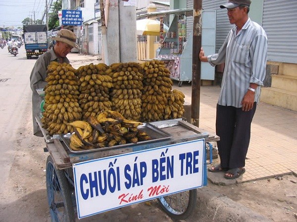  Chuối sáp là loại chuối có quả nhỏ và mập, nhìn khá giống chuối sứ. Cây chuối khi trưởng thành cao khoảng 5m và phải 8 tháng sinh trưởng thì chuối sáp mới trổ buồng ra trái. (Nguồn Vuachuoisaigon)