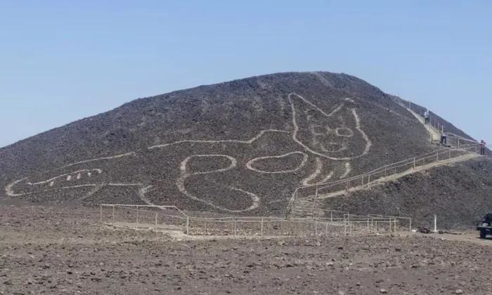  Hình vẽ mặt đất khổng lồ Mèo hoang Andean (Peru) là một trong nhiều cấu trúc geoglyph nằm ở vùng sa mạc Nazca của Peru. Công trình mô phỏng một con mèo hoang Andean cổ đại, nói cách khác là mèo Leopardus jacobita.