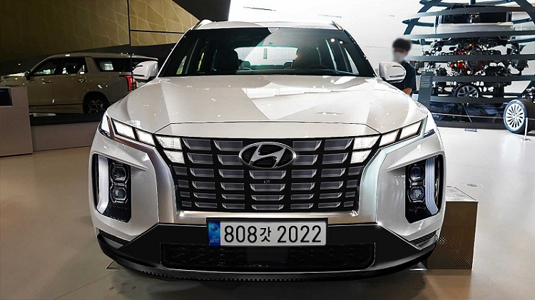 Ra mắt lần đầu vào năm 2018,  Hyundai Palisade cỡ lớn nhanh chóng thu hút được nhiều khách hàng nhờ thiết kế táo bạo cùng khoang nội thất hiện đại và tiện nghi. Tính đến thời điểm hiện tại, Palisade được coi là một trong những dòng sản phẩm chủ lực của Hyundai tại khu vực Bắc Mỹ.