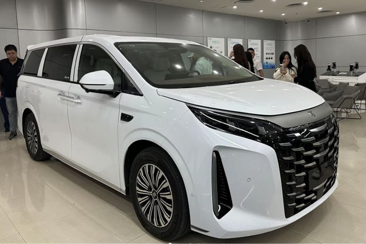 Theo Carnewschina, mẫu MPV cỡ lớn  BYD Xia 2025 mới đã được đưa về các đại lý trước ngày ra mắt chính thức. Xe có mức giá dao động từ 280.000 - 320.000 nhân dân tệ (khoảng 970 triệu - 1,108 tỷ đồng).