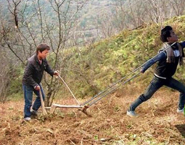 "Đi cày" kiểu thời đại mới.