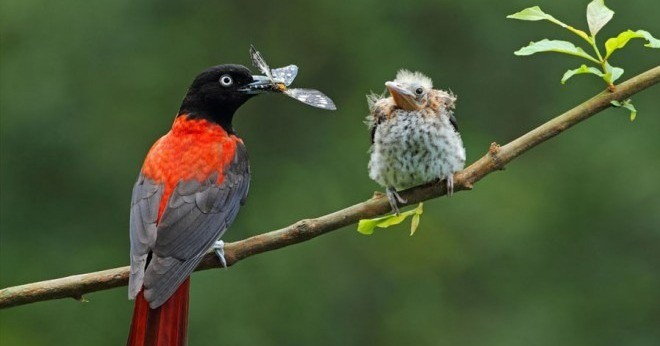 Người sinh tháng Âm lịch này, ý chí kiên cường, chỉ tiến không lùi