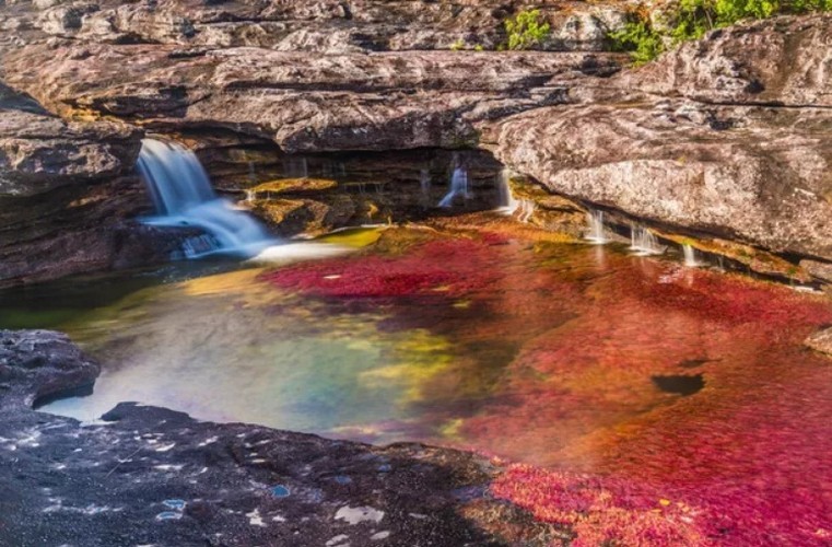 Thượng nguồn sông Cano Cristales ở Colombia.