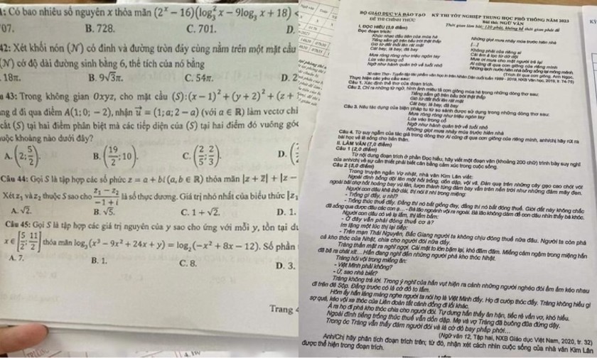  Đình chỉ 2 thí sinh và nhiều cán bộ coi thi vụ lọt đề thi tốt nghiệp Văn, Toán: Ngày 29/6, Bộ GD&amp;ĐT thông tin, ngay khi xảy ra sự việc đề thi Văn và Toán bị chụp ảnh và gửi qua mạng, Ban Chỉ đạo kỳ thi của Bộ GD&amp;ĐT đã chủ động phối hợp với Cục An ninh chính trị nội bộ (A03) của Bộ Công an, các ban chỉ đạo cấp tỉnh liên quan xác minh làm rõ sự việc. Cục An ninh chính trị nội bộ xác định được 1 thí sinh làm bài thi môn Ngữ Văn tại tỉnh Cao Bằng và 1 thí sinh làm bài thi môn Toán tại tỉnh Yên Bái đã dùng điện thoại chụp ảnh đề thi và gửi qua mạng. 