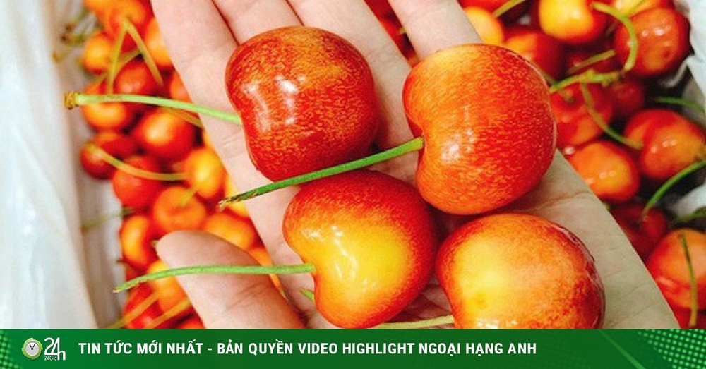 Cherry vàng giá thấp, sốt sình sịch trên chợ mạng