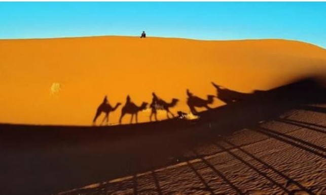  Có gì bí ẩn dưới lớp cát của sa mạc Sahara? 