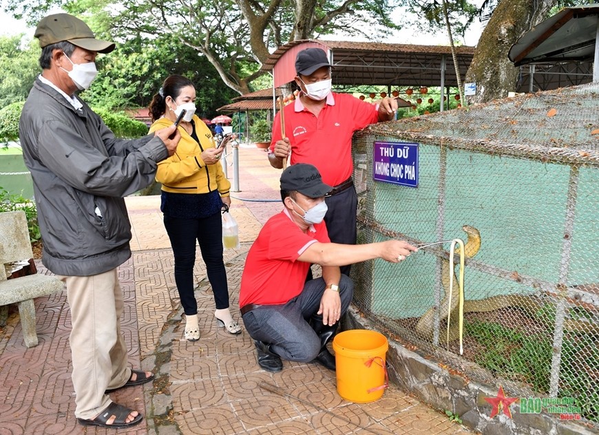 Để những con rắn cực độc trở nên “đáng yêu”, các nhân viên tại đây được ví như những “bảo mẫu”, hằng ngày tỉ mỉ, cẩn thận chăm sóc nhằm giúp chúng thích nghi và phát triển tốt nhất. Trại rắn Đồng Tâm hiện có hơn 400 loại rắn độc, được nuôi tại 3 khu vực. 