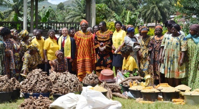 Thị trấn Bafut ở phía Tây Bắc Cameroon là một trong 2 khu vực của đất nước này vẫn còn cai trị bởi các vị vua. Bafut đã được vua nắm quyền từ khoảng 400 năm trước đây. Bắt đầu từ những ngày đầu người dân vùng này đã tự xây cung điện cho vua của họ.