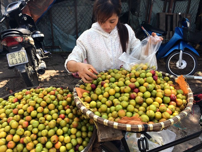 Để  phân biệt mận Trung Quốc và mận Việt Nam không hề khó, nếu người tiêu dùng chịu khó quan sát kĩ. Những tư vấn dưới đây sẽ giúp bạn dễ dàng hơn trong quá trình nhận biết này. Ảnh: Tuổi Trẻ.