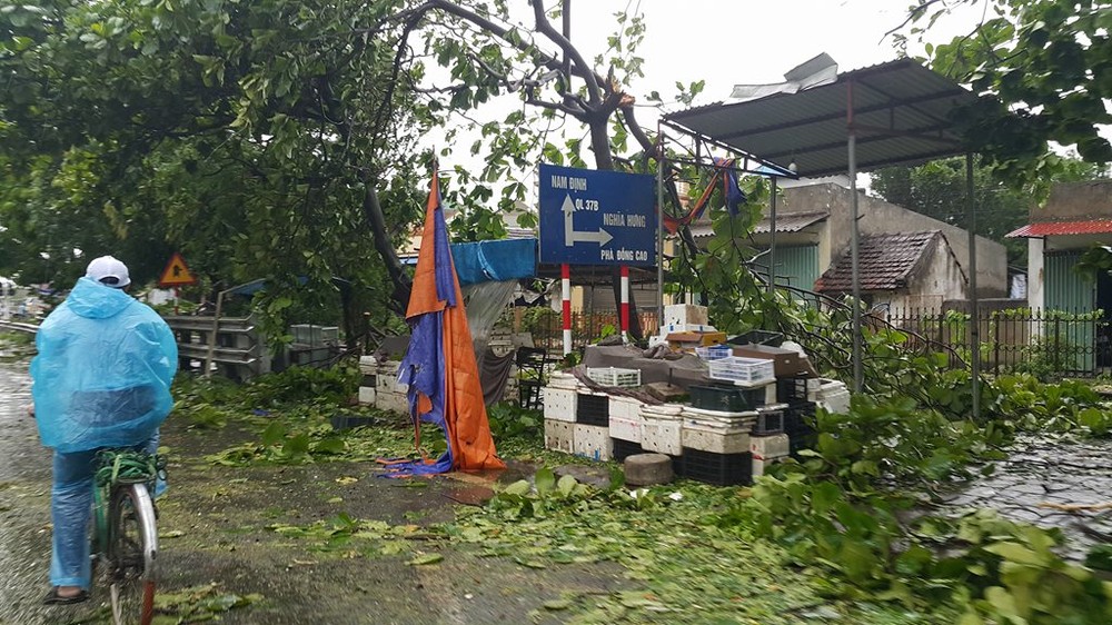 Vào khoảng 21h ngày 27/7, tâm  bão số 1 đã đổ bộ lên đất liền các tỉnh Nam Định, Ninh Bình, Thái Bình với sức gió mạnh nhất đạt cấp 9 (từ 75 - 90 km/giờ), giật cấp 11. Sau đó bão đi sâu vào đất liền, bão số 1 đã nhanh chóng suy giảm thành áp thấp nhiệt đới. Tuy nhiên do bị ảnh hưởng trực tiếp, các địa phương trên bị thiệt hại nặng nề do bão.