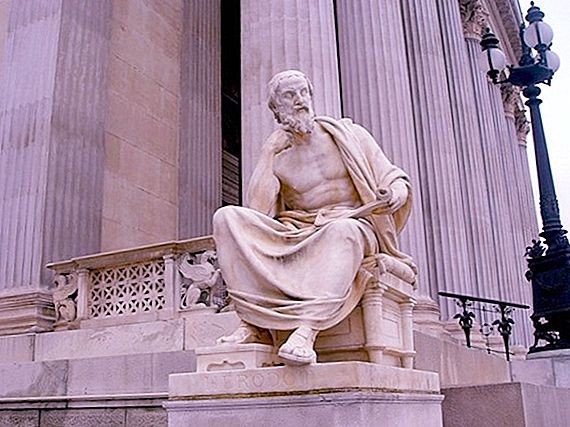  Herodotus là một trong những sử gia Hy Lạp nổi tiếng nhất trong lịch sử thế giới cổ đại. Ông sinh trưởng ở Halicarnasse nơi giao lưu của nhiều luồng văn minh Đông – Tây. Herodotus được tiếp thu nền giáo dục chu đáo và lớn lên dưới sự sùng kính Homère (tác giả của trường ca nổi tiếng Iliat và Odicer).