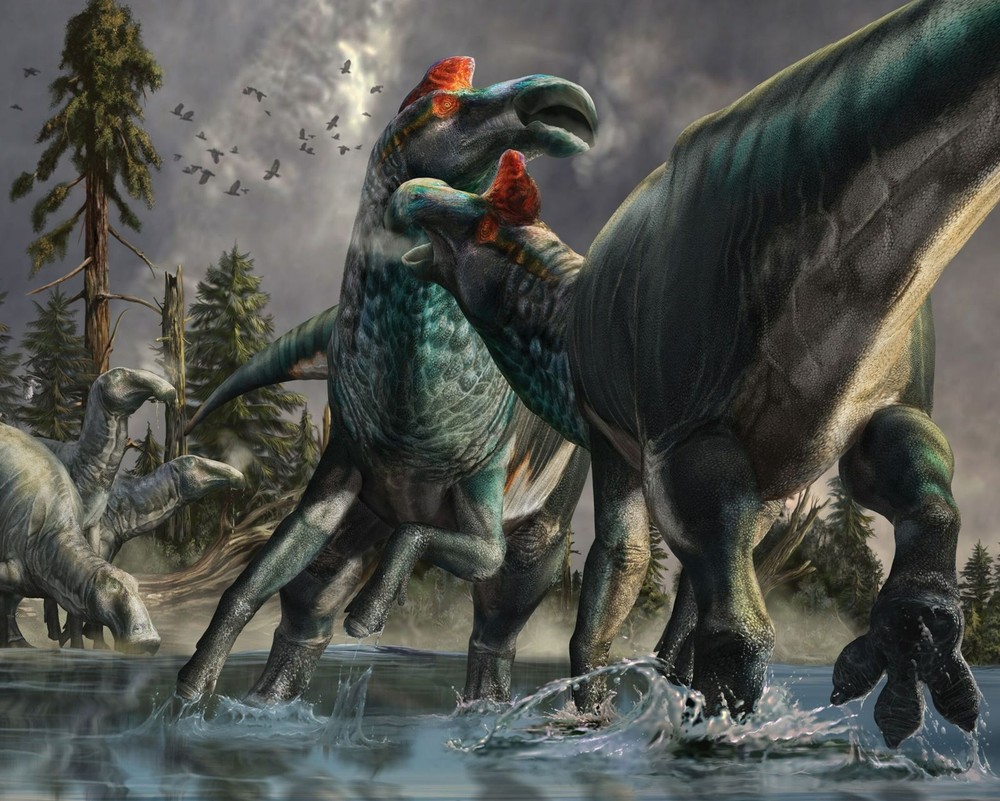 Cách đây khoảng 67 triệu năm ở khu vực ngày nay là Bắc Dakota, một con  khủng long mỏ vịt (Edmontosaurus) đã ngã quỵ và chết. Khi đó, những họ hàng cổ đại của cá sấu tranh thủ cắn xé xác nó, để lại nhiều lỗ thủng trên da và vết răng ở xương.