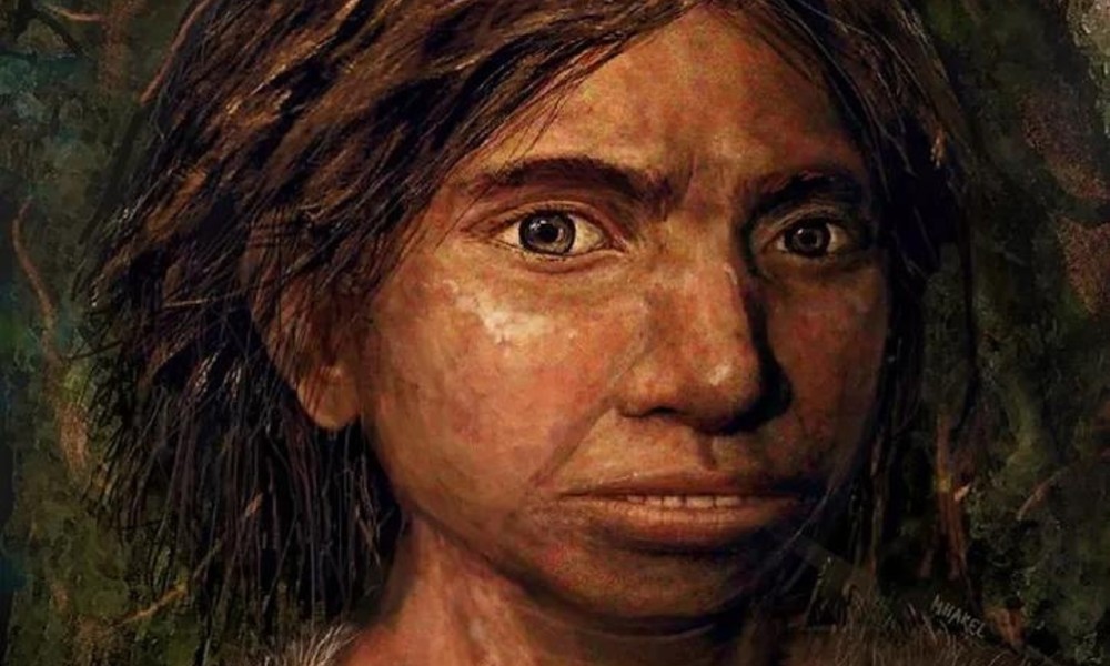 1. Người Denisovans: khoảng 600.000-744.000 năm về trước, một dòng giống mang tên Homo heidellbergensis thuộc chi Người (Homo) bắt đầu phân tách. Một nhóm nhanh chóng tiến hóa thành  người Denisovans và người Neanderthals. (Nguồn: Live science)