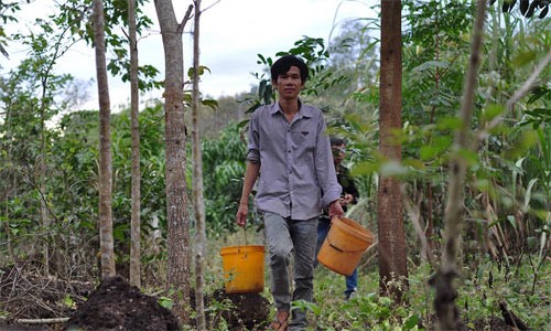 Rùng mình cảnh săn bọ cạp ở Đồng Nai với dụng cụ "độc"