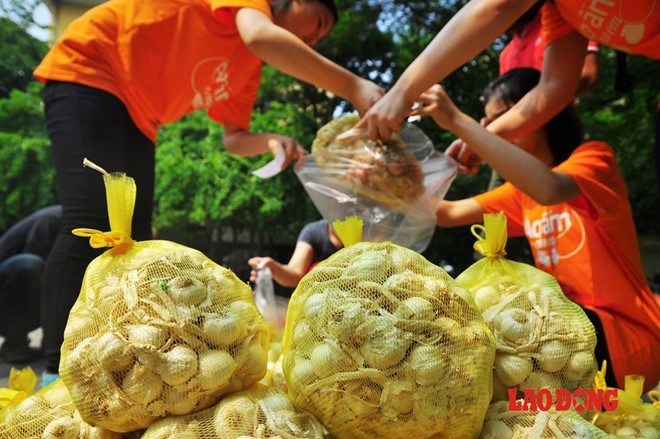 Với mong muốn, nhận được sự ủng hộ của người dân Thủ đô, những người nông dân đã dốc sức đưa một lượng hành tỏi Lý Sơn ra Hà Nội bày, bán. Chung tay ủng hộ mua hành, tỏi cho bà con nông dân đảo Lý Sơn tại Hà Nội. Ảnh: Thành An