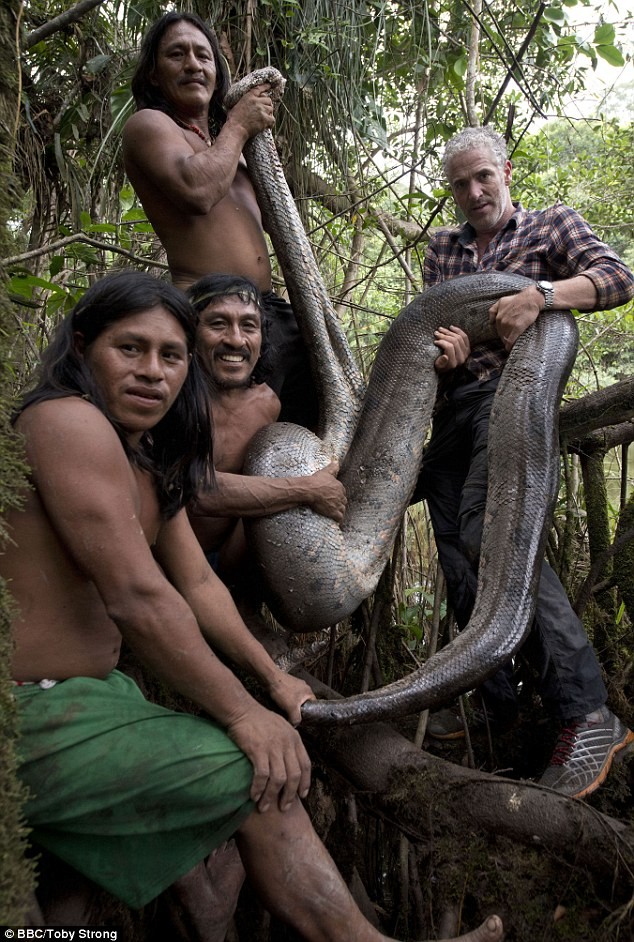 Gordon Buchanan, một người dẫn chương trình BBC đã phát hiện ra một con  rắn khổng lồ dài tới hơn 5,1m được cho là con rắn lớn nhất thế giới, ở sâu trong rừng rậm Amazon trong khi ông đang quay chương trình về những bộ lạc ở đây. (Nguồn Dailymail)