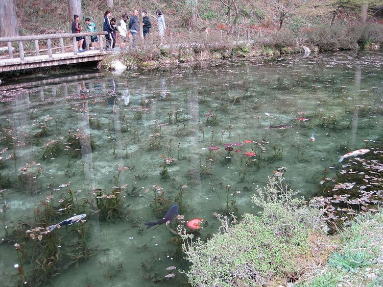 Cách đây bốn năm,  ao Monet, một ao nhỏ nằm ở vùng ngoại thành thành phố Seki, tỉnh Gifu, Nhật Bản từ vô danh bỗng trở nên nổi tiếng khắp thế giới nhờ phong cảnh đẹp tuyệt mỹ, hệt như tranh vẽ.