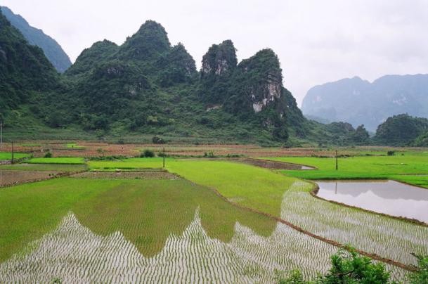 Đi bộ trekking là hình thức du lịch mà du khách di chuyển bằng chính đôi chân của mình. Điểm đến của trekking thường là những khu vực rừng núi - nơi các phương tiện giao thông khó có thể tiếp cận được. Trong số những điểm đi bộ khám phá ấn tượng nhất ở Đông Nam Á có tỉnh Cao Bằng.