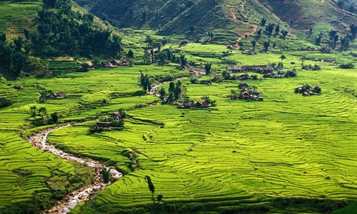 Đồi núi Sa Pa nổi bật với những ruộng lúa bậc thang xanh mướt mắt. Nơi đây được đánh giá là một trong  10 khu định cư ấn tượng nhất thế giới. Khi đến Sa Pa, du khách có thể đi bộ qua những ngọn đồi và mua những nữ trang hấp dẫn của người dân địa phương.