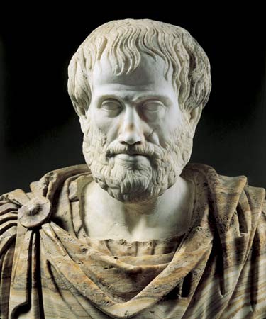 Aristotle được đánh giá là một trong những người thông minh, tài năng nhất thời đó khi có nhiều nghiên cứu thực hiện ở nhiều lĩnh vực khác nhau như: vật lý, hình học, văn thơ, kịch nghệ, âm nhạc, lý luận, ngôn ngữ, chính trị, sinh học... Ông cũng là  người thầy vĩ đại của Alexander Đại đế - một trong những danh tướng kiệt xuất lẫy lừng thế giới.