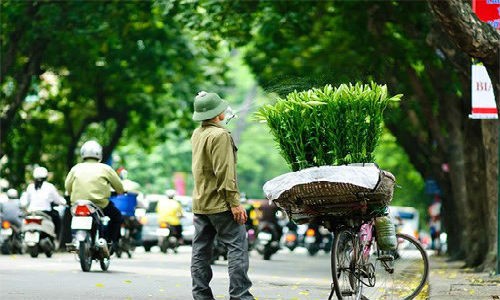 Những người làm văn phòng, cơ quan hay những bà nội trợ không có thời gian lên vườn hoa Nhật Tân, Quảng Bá, Tây Tựu, Ngọc Hà… để ngắm hoa và mua hoa thì đã có những gánh hoa tươi âm thầm, lặng lẽ đưa hoa về tận phố, tận nhà.