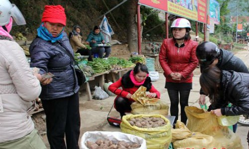 Tại trung tâm các huyện vùng cao Kỳ Sơn, Tương Dương, Quế Phong, dọc theo quốc lộ thường có những điểm chuyên bán các loại  sản vật đặc trưng. Rất nhiều người miền xuôi lên công tác, hành khách qua đường ghé mua. Trong ảnh là điểm bán khoai sọ ở thị trấn Mường Xén (Kỳ Sơn).