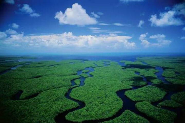 Everglades (Florida), Mỹ. Hãy đến Everglades (Nam Florida) - vùng đất ngập nước nhiệt đới với những hòn đảo Florida hiếm hoi mà việc mở rộng của người Homo Sapiens, ô nhiễm và canh tác đã hủy hoại hơn 50% hệ sinh thái độc đáo và mong manh ở đây. Đây là một trong số những  địa điểm cực lãng mạn mà bạn nên đến trước khi chúng biến mất.