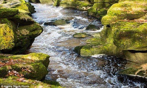  Dòng suối "tử thần" Bolton Strid hay còn gọi suối Strid nằm giữa Barden Tower và Bolton Abbey ở Yorkshire (Anh) là một trong những địa điểm nguy hiểm nhất thế giới.