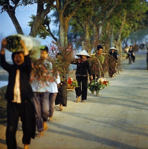 Tại các phiên  chợ Tết xưa của người Việt Nam, nhiều mặt hàng được người dân mang đi bán như hoa đào, các loại trái cây, nông sản...