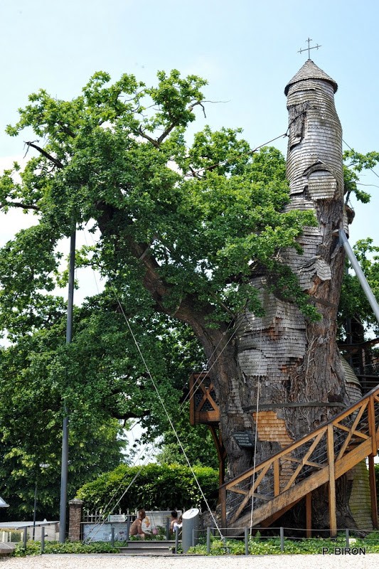 Notre Dame de la Paix và Chambre de l'Ermite là 2  nhà nguyện bên trong cây sồi nổi tiếng nằm tại ngôi làng Allouville-Bellefosse của Pháp.