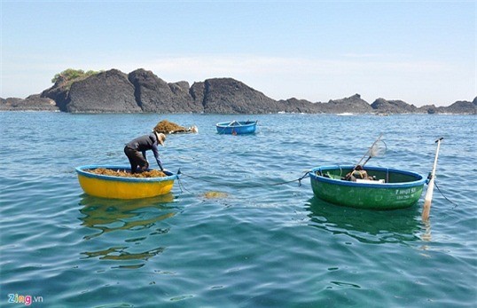 Vùng biển Bình Châu (huyện Bình Sơn), nơi ngư dân cùng cơ quan chức năng phát hiện nhiều tàu chở cổ vật chìm dưới đáy.