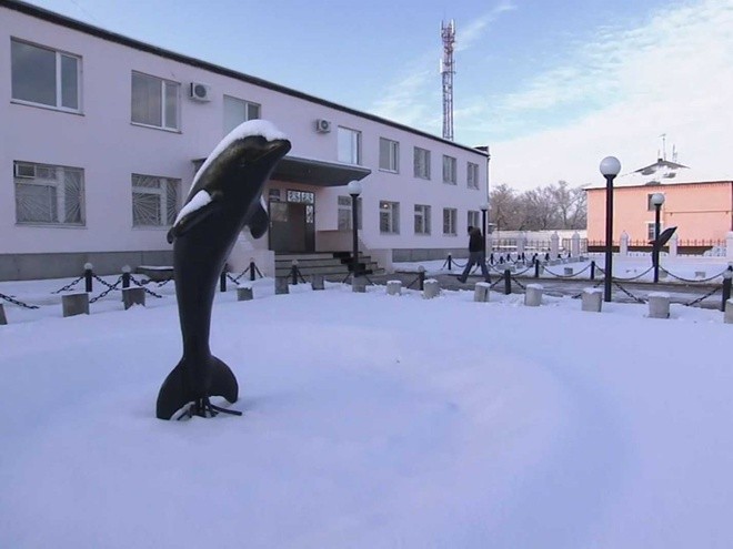  Nhà tù Black Dolphin nằm ở biên giới Kazakhstan. Cá heo đen (Black Dolphin) không phải là tên chính thức của nhà tù mà do các tù nhân đặt tên theo bức tượng con cá heo phía bên ngoài.