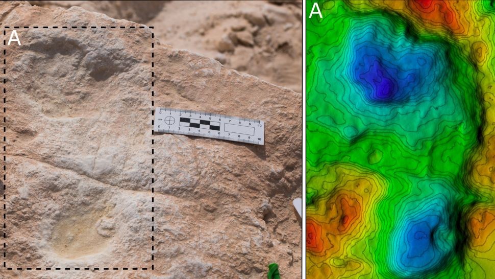Vào năm 2017, các nhà khoa học lần đầu phát hiện 7 dấu chân người, dấu chân của 107 con lạc đà và 43 con voi tại một hồ nước cổ trên sa mạc Nefud. Sự xói mòn đã loại bỏ lớp trầm tích nằm bên trên để lộ các dấu chân. Theo đó,  bí mật về người xưa được giải mã.