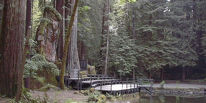 Nằm cạnh đại lộ Bohemian, thành phố Monte Rio, California, Mỹ,  khu rừng Bohemian Grove là một trong những địa điểm nổi tiếng thế giới.