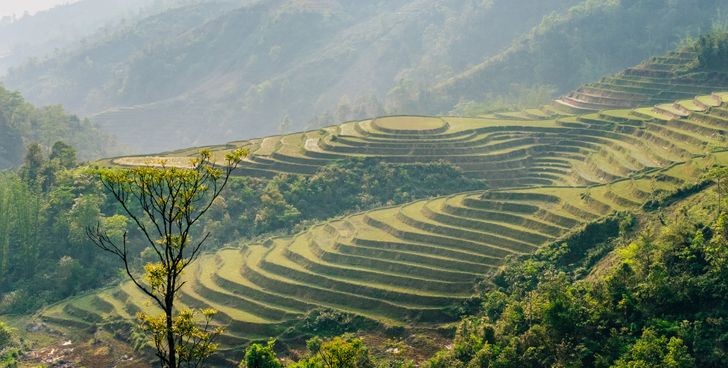 Trong 210 ngày du lịch tại châu Á, nhiếp ảnh gia Dima Gilitukha dành 1 tháng ở Việt Nam. Trong khoảng thời gian đó, ông đi nhiều nơi và chụp ảnh đất nước - con người  Việt Nam tuyệt đẹp.