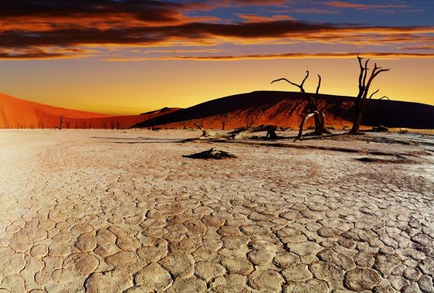  Sa mạc giáp biển nổi tiếng thế giới được nhiều người biết đến là Namib ở Namibia. Sa mạc này có diện tích 55.000 km2.