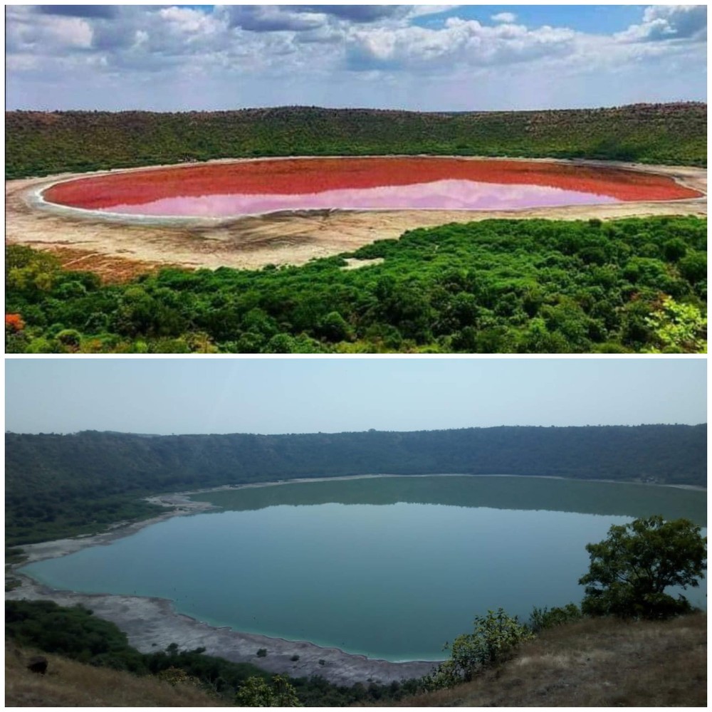 Vào đầu tháng 6/2020, các bức ảnh chụp ồ Lonar ở bang Maharashtra, Ấn Độ có màu hồng nhanh chóng thu hút sự quan tâm của dư luận. Nguyên do là bởi  hồ nước đột ngột đổi màu chỉ sau 1 đêm.