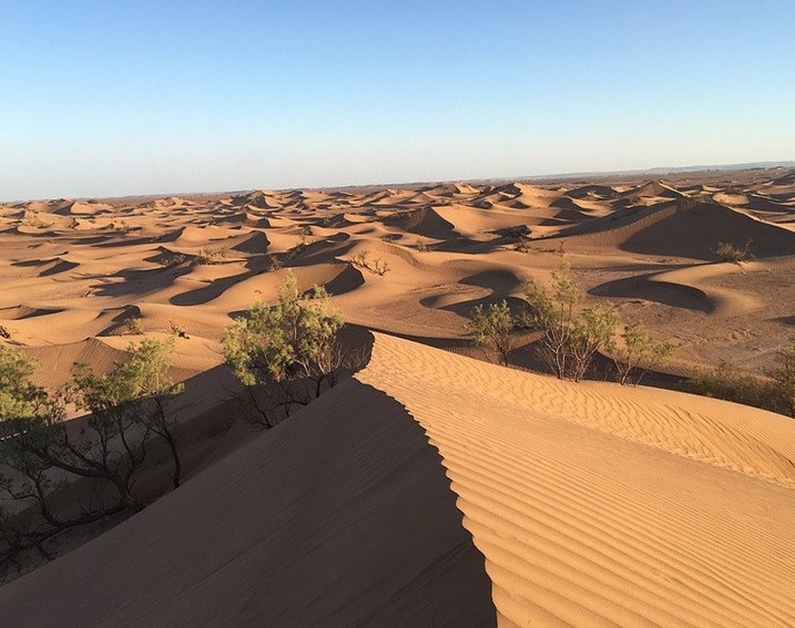 1. Tuyết rơi ở sa mạc Sahara. Khi nhắc tới các sa mạc trên  thế giới, nhiều người nghĩ ngay đến vùng đất khô cằn, khí hậu nắng nóng khắc nghiệt. Tuyết là thứ không thể xuất hiện ở sa mạc, bao gồm Sahara. Thế nhưng, băng tuyết từng che phủ lớp cát trên sa mạc Sahara sau khi nhiệt độ tại đây giảm xuống -2 độ C dưới ảnh hưởng của khối khí lạnh áp suất cao.