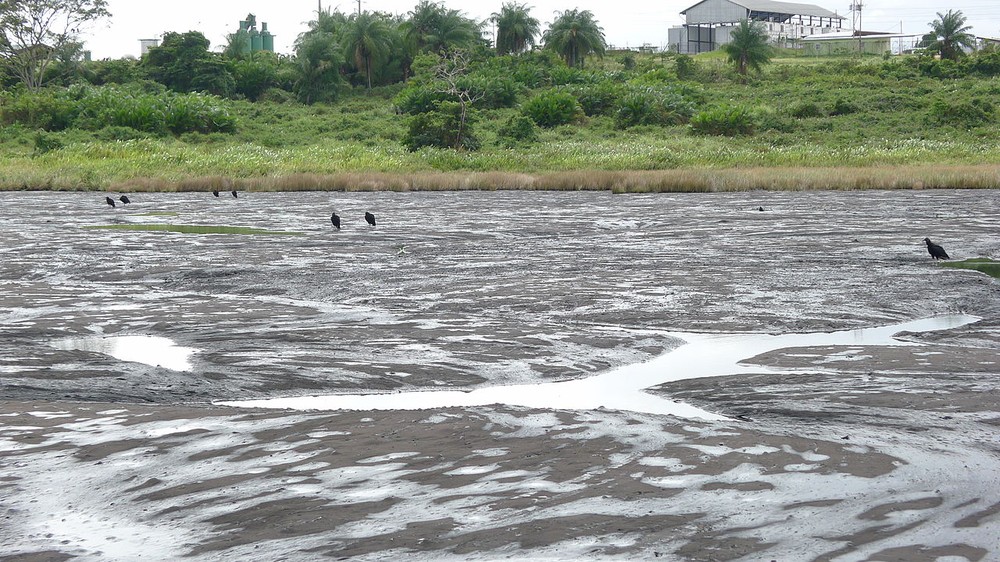 Nằm ở làng La Brea phía tây nam Trinidad, hồ Pitch có diện tích khoảng 40 hecta và sâu khoảng 75m. Đây là  hồ nước chứa hàng triệu tấn "vàng đen".