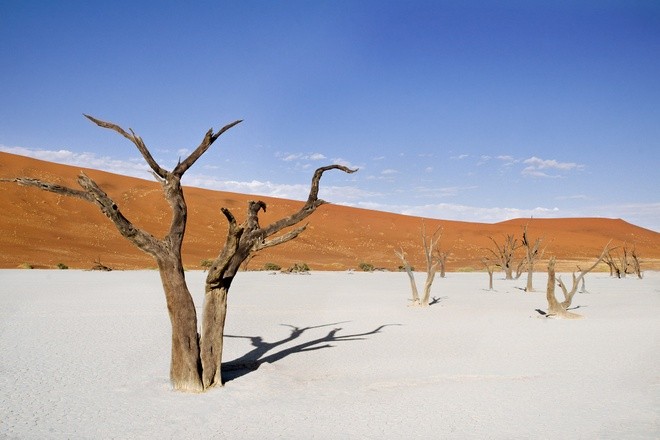 Lòng chảo đất sét trắng Deadvlei ở Namibia là một địa điểm nổi tiếng, hấp dẫn du khách và các nhiếp ảnh gia khi ghé thăm. Tên gọi Deadvlei có nghĩa là đầm lầy đã chết. Khung cảnh kỳ lạ tại " khu rừng chết" này khiến nhiều người ấn tượng.