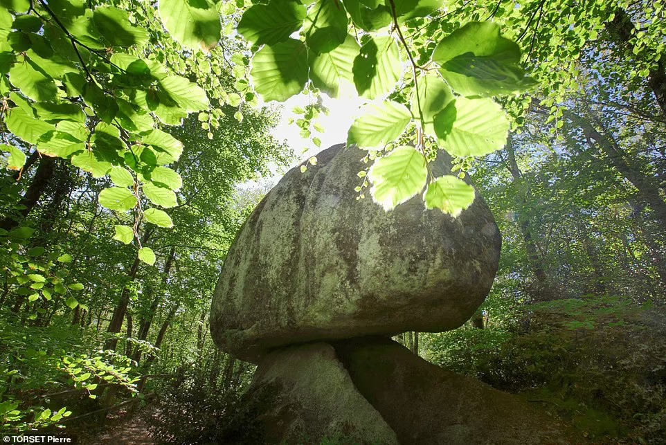  Tảng đá nặng gần 140 tấn có tên Trembling Rock hay La Roche Tremblante (Hòn đá run rẩy) nằm trong khu rừng Huelgoat, thuộc vùng Brittany, phía đông bắc nước Pháp. Đây là một tảng đá khổng lồ gắn liền với bí ẩn lớn.