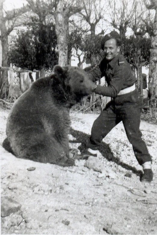  Con gấu nâu Syria tên Wojtek là "binh sĩ" đặc biệt trong Chiến tranh thế giới 2 (1939 - 1945). Sự nghiệp nhà binh của nó bắt đầu từ năm 1942. Khi ấy, một cậu bé đã tìm thấy con gấu nâu Syria mới sinh gần Hamadan, Iran. Sau đó, cậu bé bán nó cho trung úy Anatol Tarnowiecki.