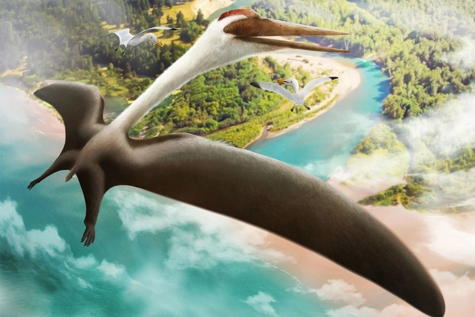 Thằn lằn bay Quetzalcoatlus là một trong những  quái vật săn mồi đáng sợ thời tiền sử. Chúng sống vào cuối kỷ Creta ở Bắc Mỹ cách đây khoảng 68 - 65,5 triệu năm.