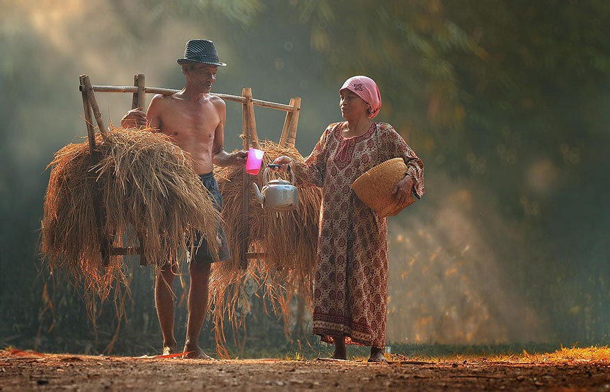 Những hình ảnh Indonesia vào mùa gặt gợi nhớ đến khung cảnh làng quê Việt Nam cũng bình dị và thơm mùi rơm rạ như thế.