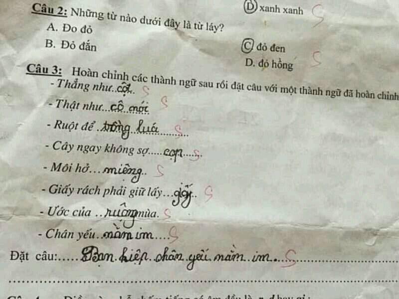 Mới đây, những câu trả lời của  học sinh tiểu học trong bài tập điền từ còn thiếu vào các câu thành ngữ được dân mạng thích thú và lan truyền rộng rãi trên các mạng xã hội.