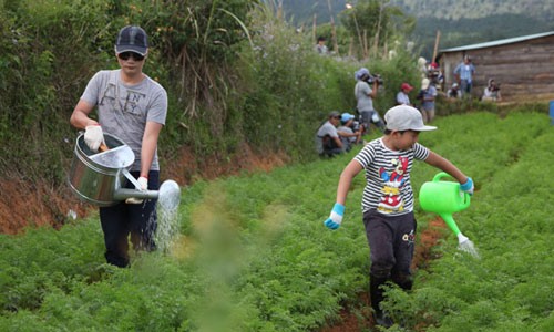 Sao “Bố ơi, Mình đi đâu thế” trải nghiệm làm nông dân