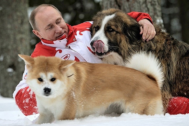 Không ngờ Tổng thống Nga Putin yêu quý loài chó thế này!