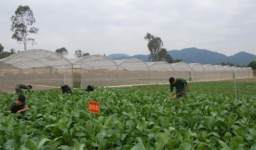 Tiêu chuẩn Tết Nguyên đán sĩ quan, binh sĩ QĐND Việt Nam